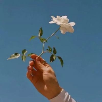 镇妖传官方下载