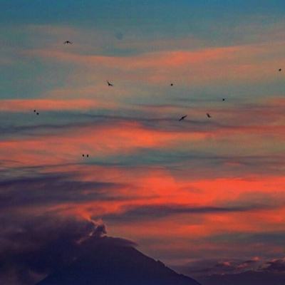 星际怼战人类大战虫族下载